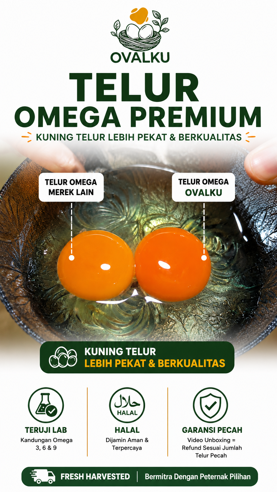 Perbandingan Telur